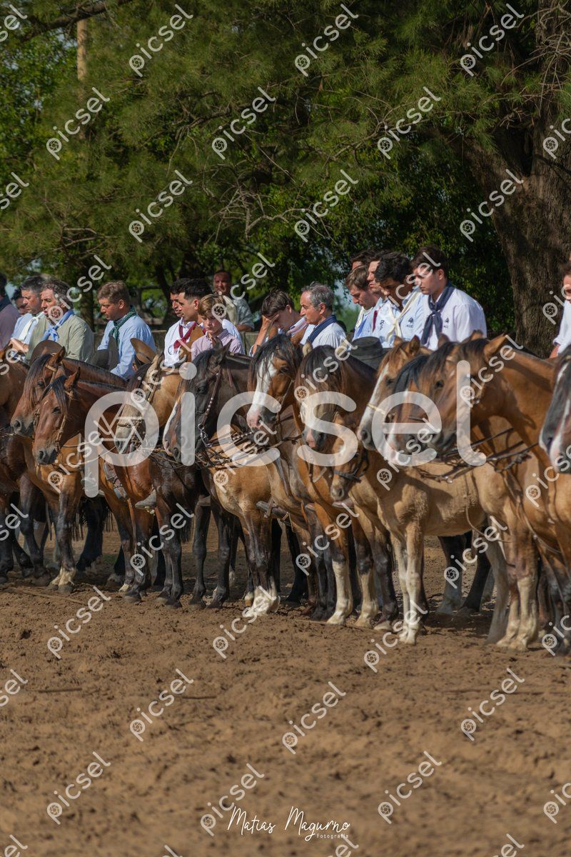 Photo of p8w37hviq61nspq4xijii7wf