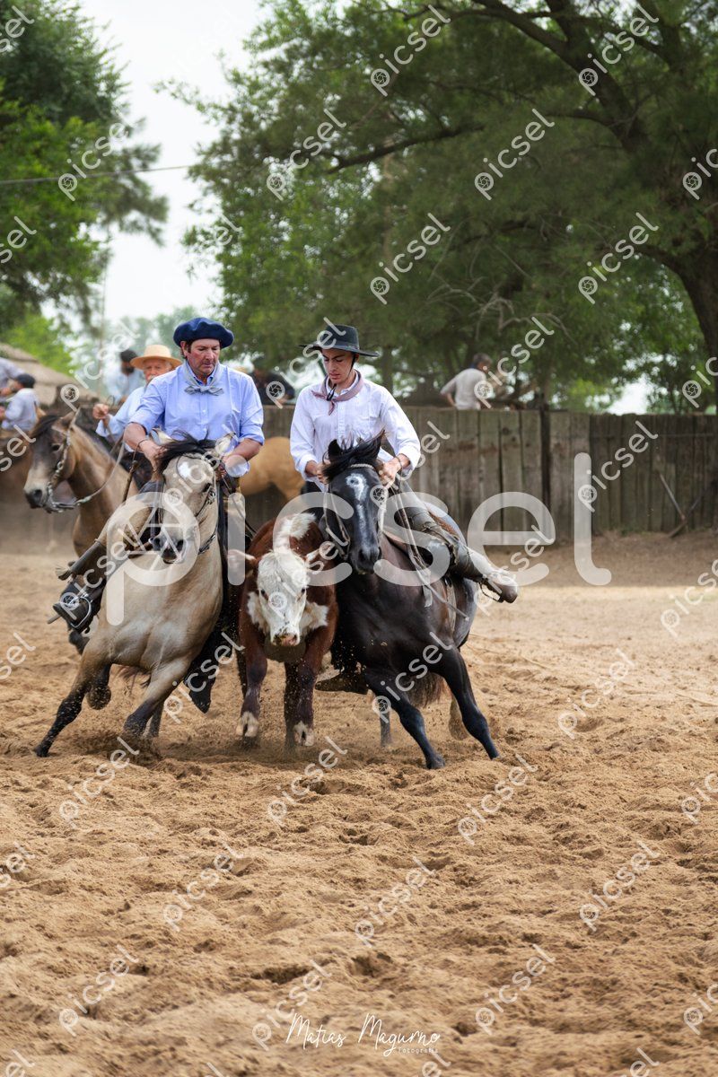 Photo of g3d6klk9wtnqixnpd5ets2eq