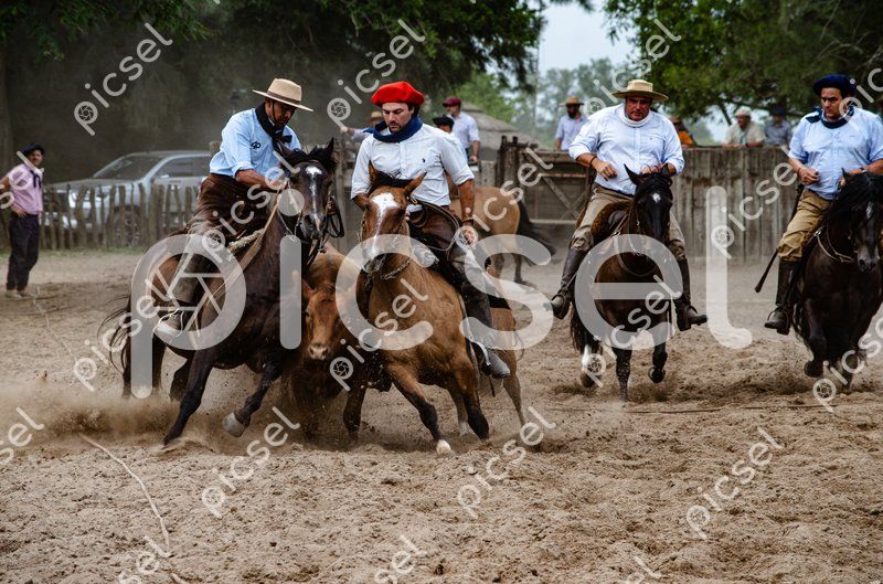 Photo of f58fvltwiid1n7imslfpmjjb