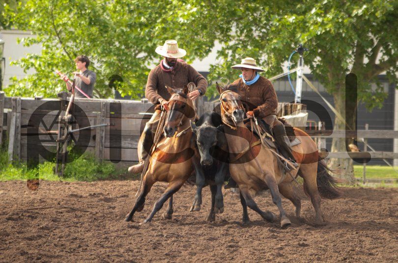 Photo of b4jmj8cn8jdtnr169hbqrjzw