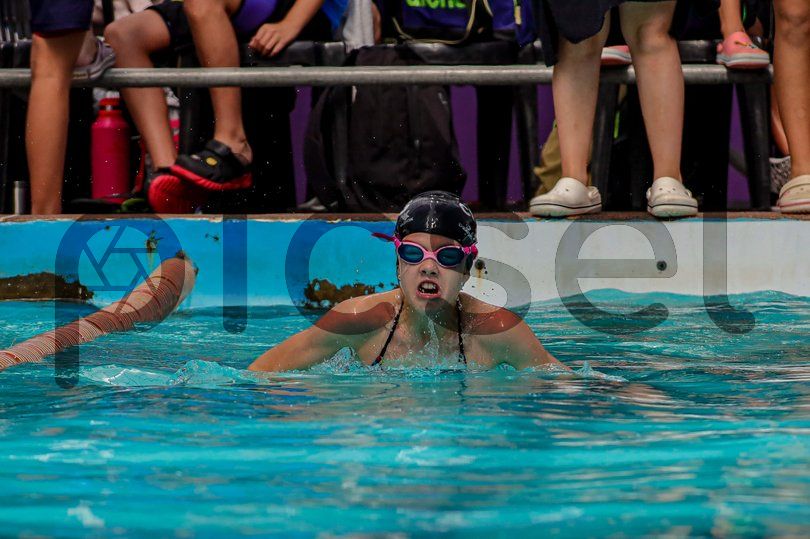 Photo of a83zdtsqi1off6g1mxjqvshq