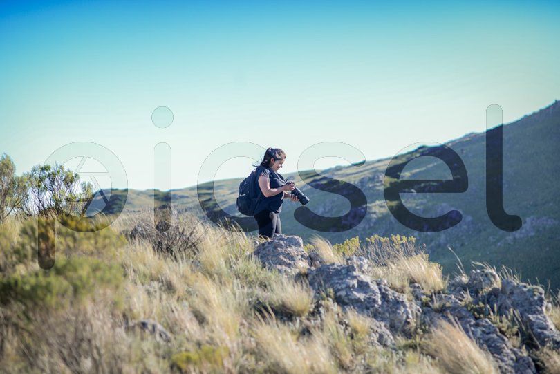 Photo of n77r80k0vijw0t931trdbns1