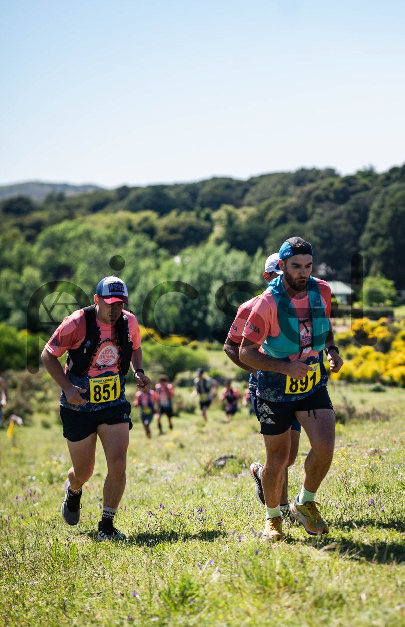 Photo of m8mf2px2ki2qe9vh93eflkt1