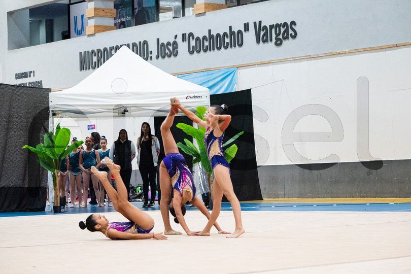 Photo of t937f39hp3i70cdtcy8rnbuf