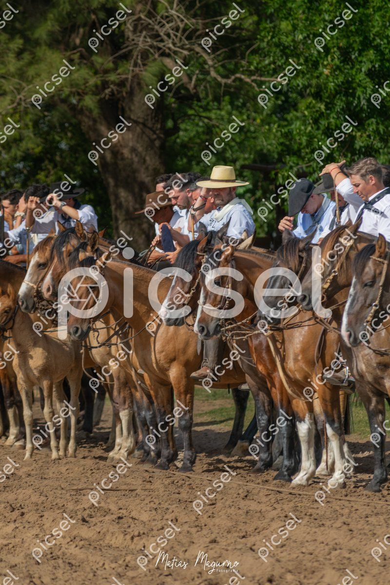 Photo of csv3arj0zvktn5xdtkv6rp3b