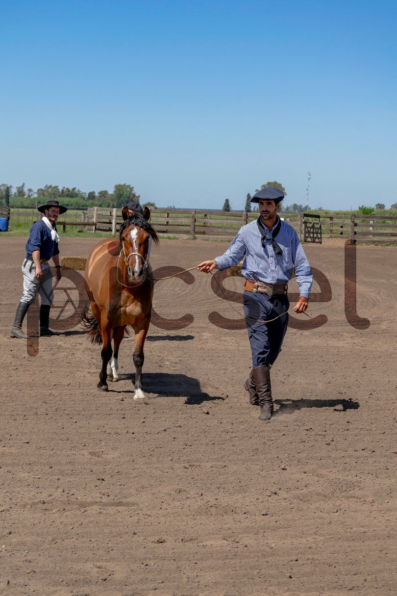 Photo of oozav7zovfiae8b3cxw07eje