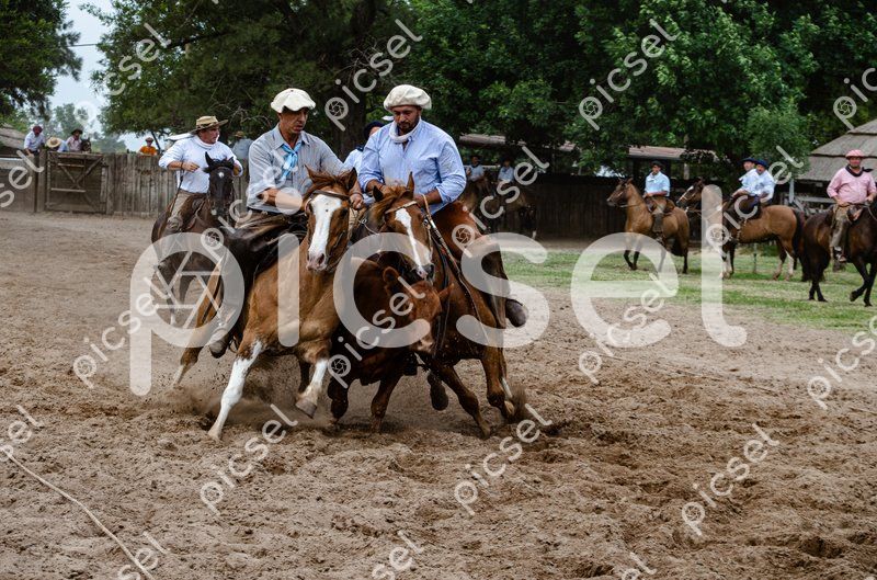 Photo of cvdw80dzq4li8hss46ki5nlo