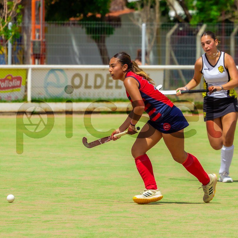 Photo of q2mpsdgemzni2dlamo3omk6e