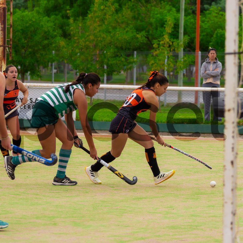 Photo of sxvqiyit7l2c41oy82ckonbv