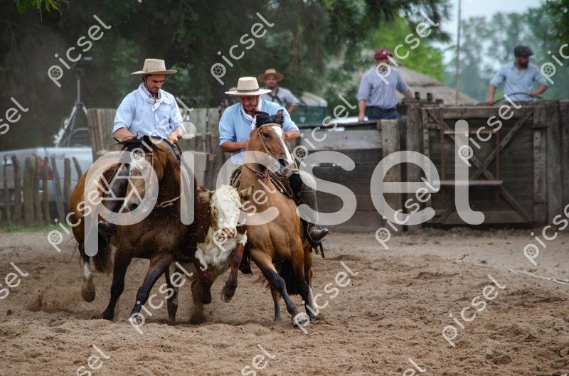 Photo of lvo3m3k7eayyx4ia5awnnqcm