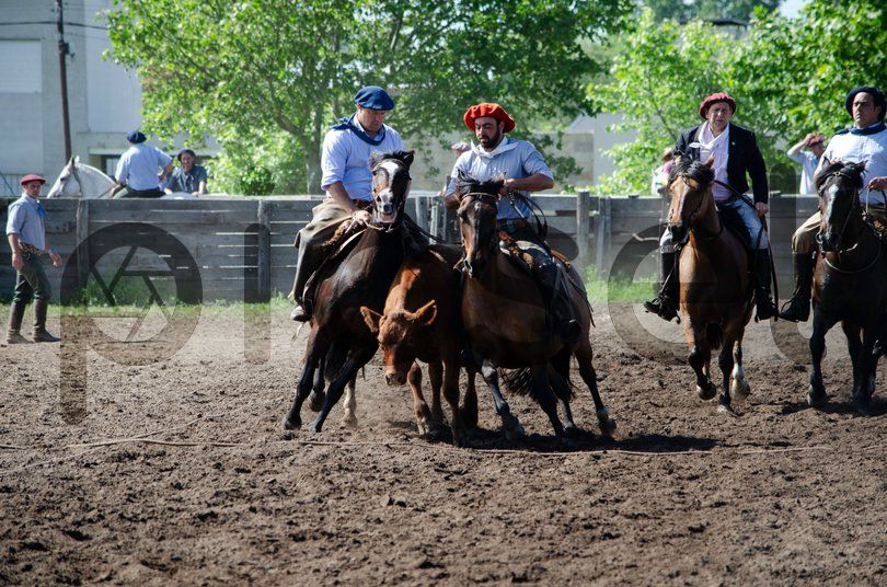 Photo of pyb6j1je2m381a0ro06mj9er