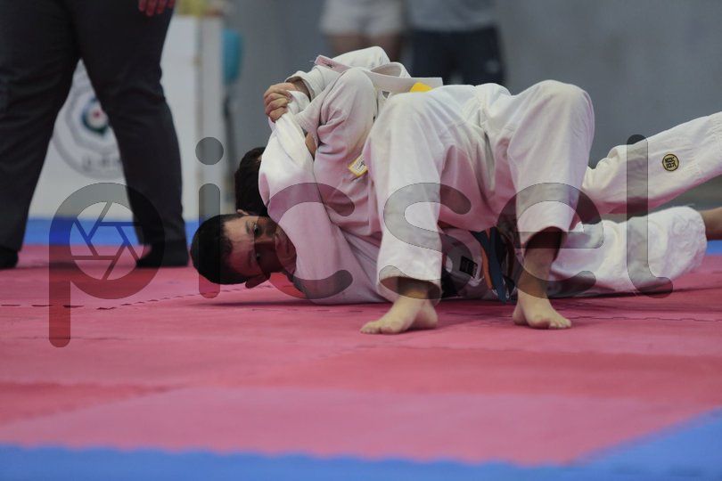 Photo of o5umxx7q7pd8q1a6tvpqt12n