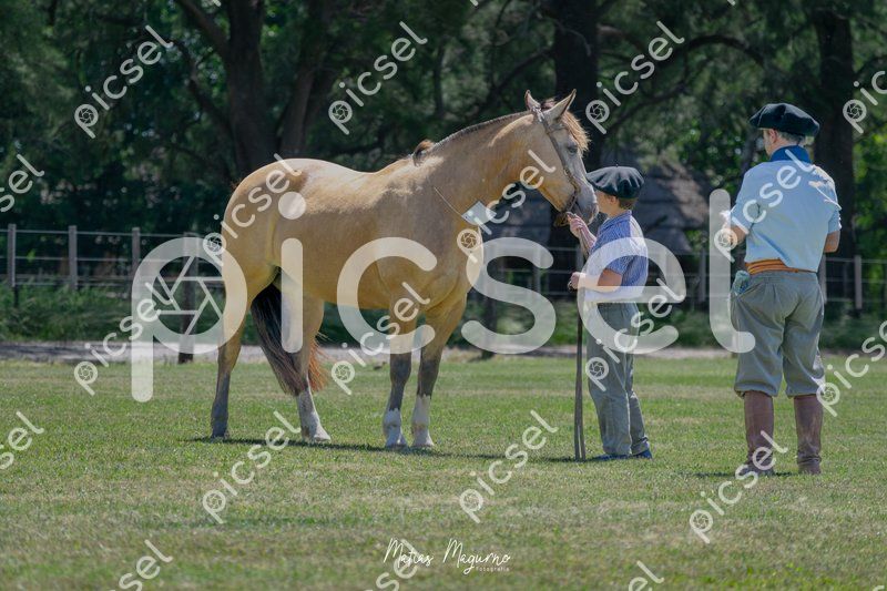 Photo of wj891ugk8kczrk84y471xebv