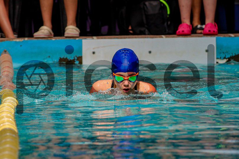 Photo of ya8yz10nu9ruv1s7r9amrib3