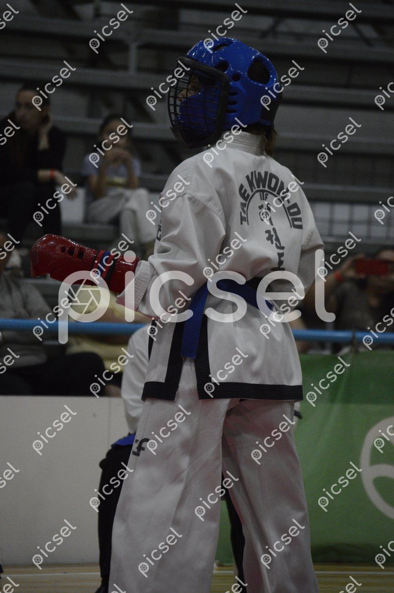 Photo of queleuwlvt1v4s6txwrvgvei