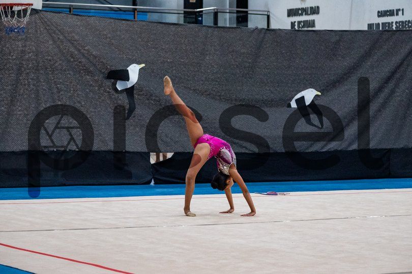 Photo of xc4wwvv9shhxxfrefecgoqwp