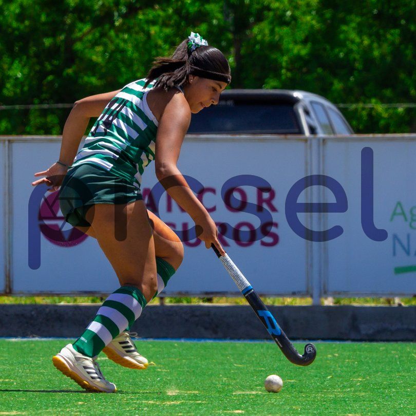 Photo of rjnluesuhmsk979habnz6mh0