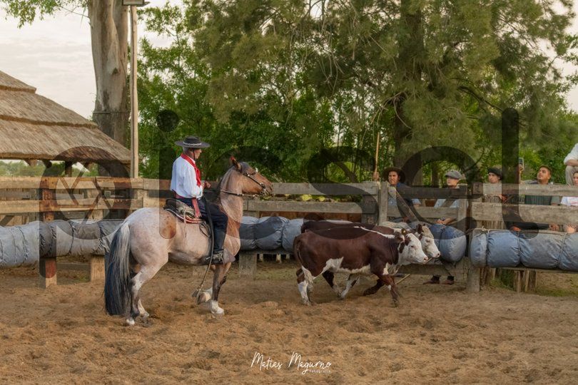 Photo of h4azwxq5poxafxu9jms7rcl6