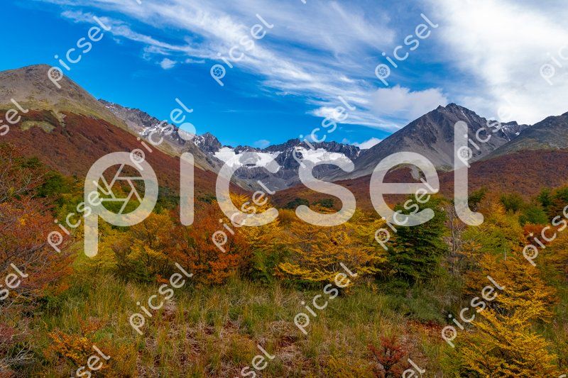 Photo of q6orhwvozrcpmfk0n8zco0yb