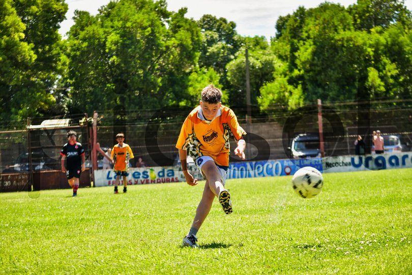 Photo of n00wiso5s5myuky0fzer7swx