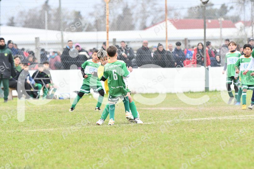 Photo of grux3kk0firg7g9pt5puchi5