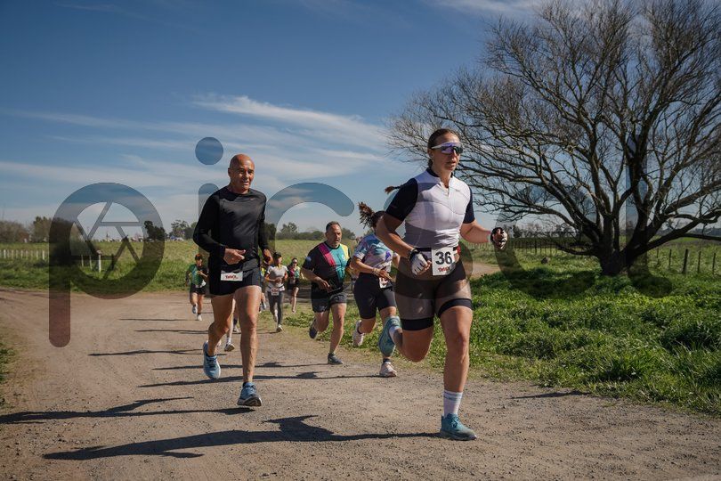 Photo of v4wdaktnk8q9ms4em0f86hhd