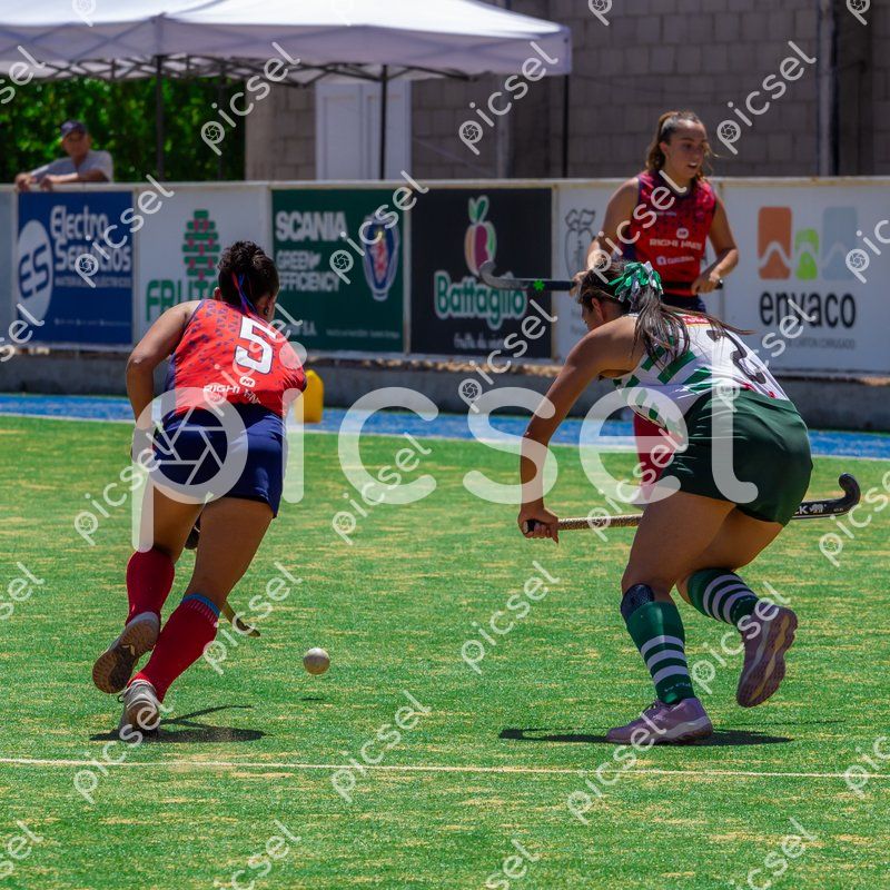 Photo of roa6dx3k9cc08i78bstkv38b