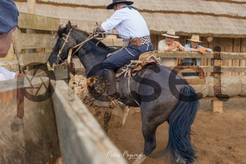 Photo of udrr0tvjwe0mgxtogcwj3p16