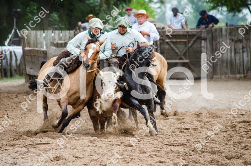 Photo of kuenkg95ncxq1p05ur1b81az