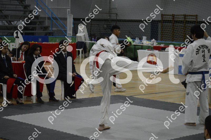 Photo of i3fqaavcm5trcf08fcu2xvie