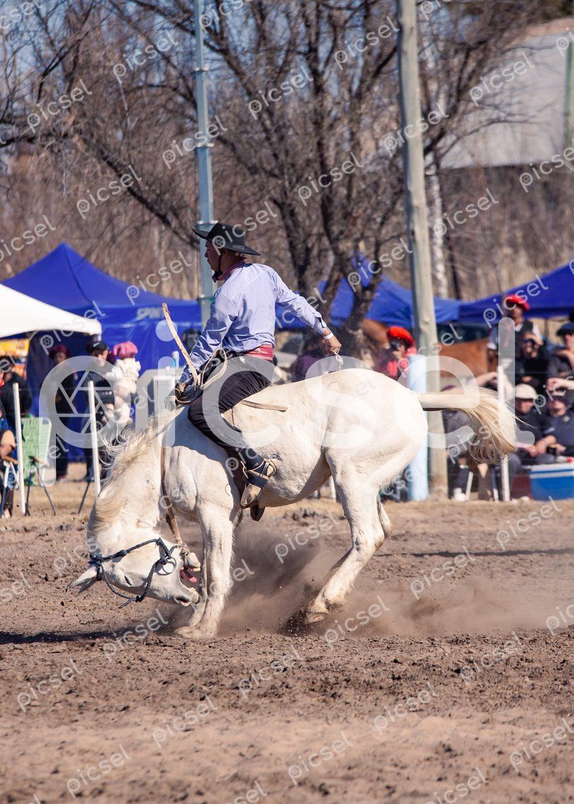 Photo of m2xcx27xt3strwpbf41tptrc