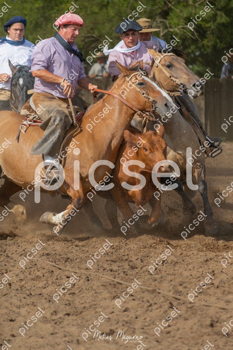 Photo of fp4zxpvjh118allebmj204jp