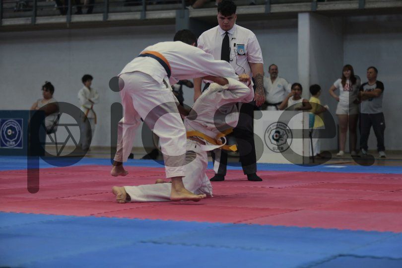 Photo of kcxhj102rtumdygln4pl9qxv