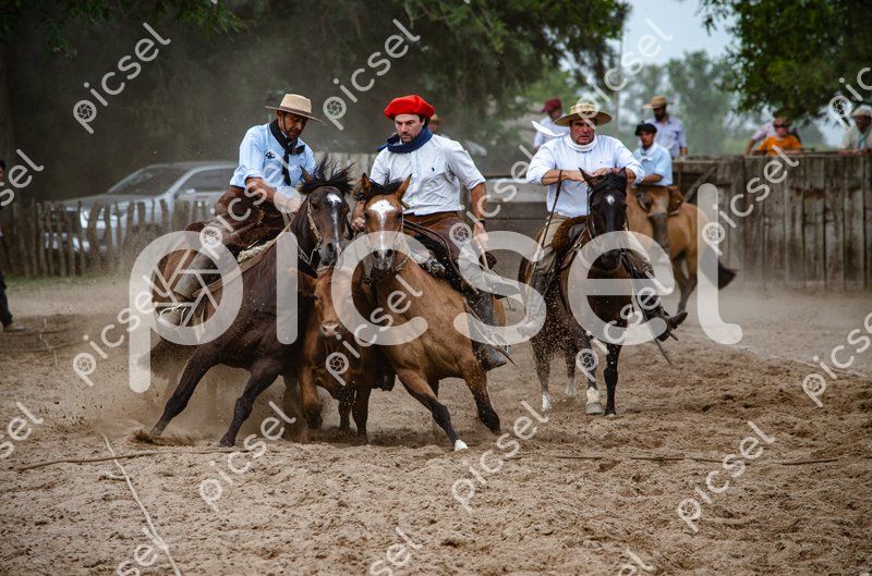 Photo of rum4fojjkqhsi3jzv5bcih5a