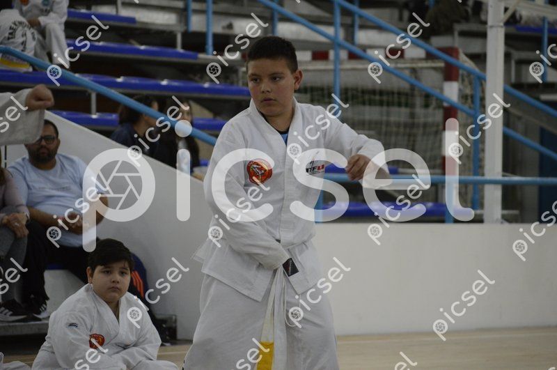 Photo of e3curzqdcw47w7kmel0wtdjq