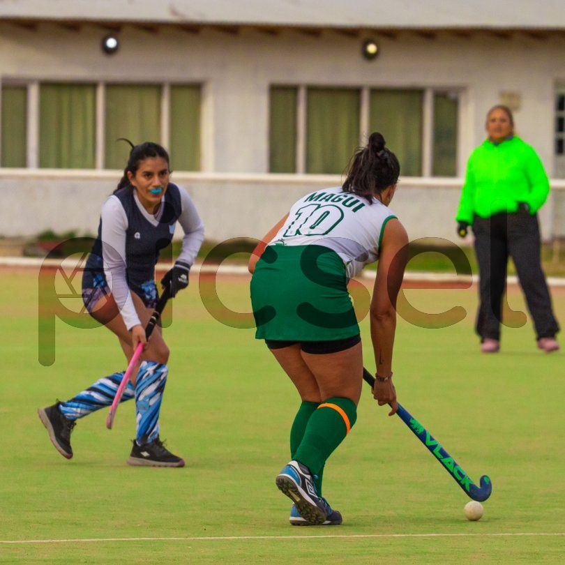 Photo of sipffn5jscmdoi7pklt6btn6