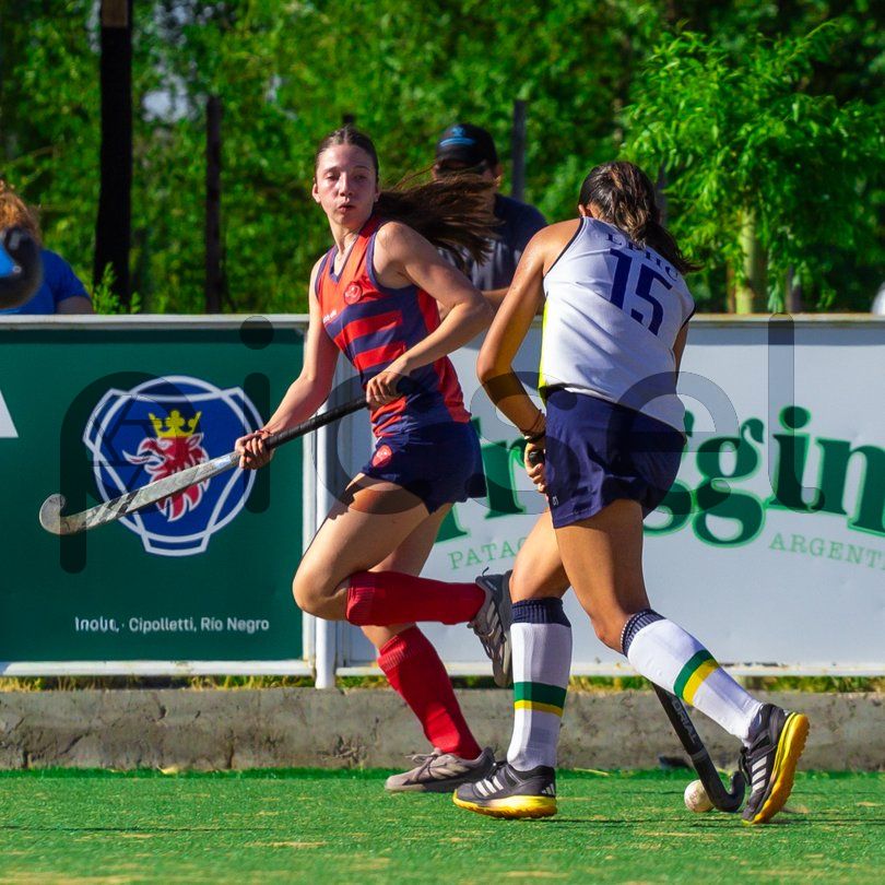 Photo of m8av1tcn62oenisd694f4ed2