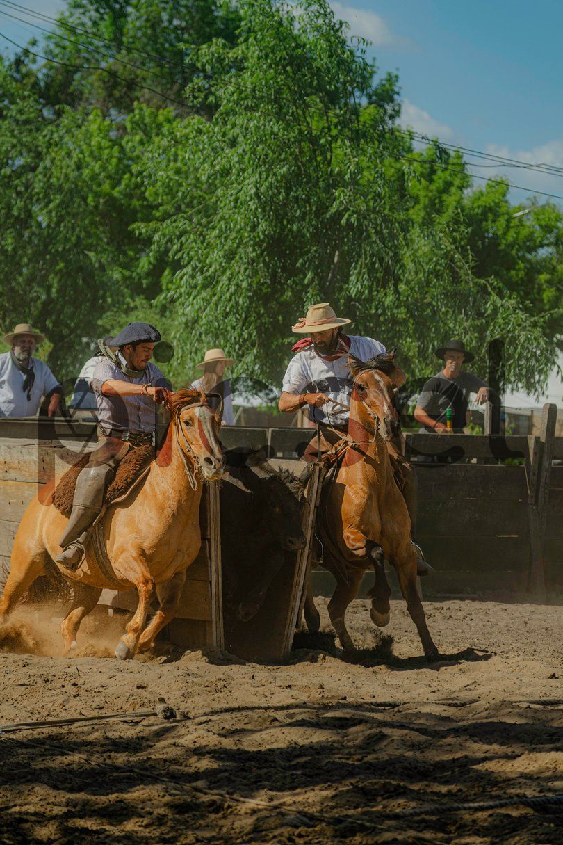 Photo of iqewy230xznpv43mmrv3t2z8