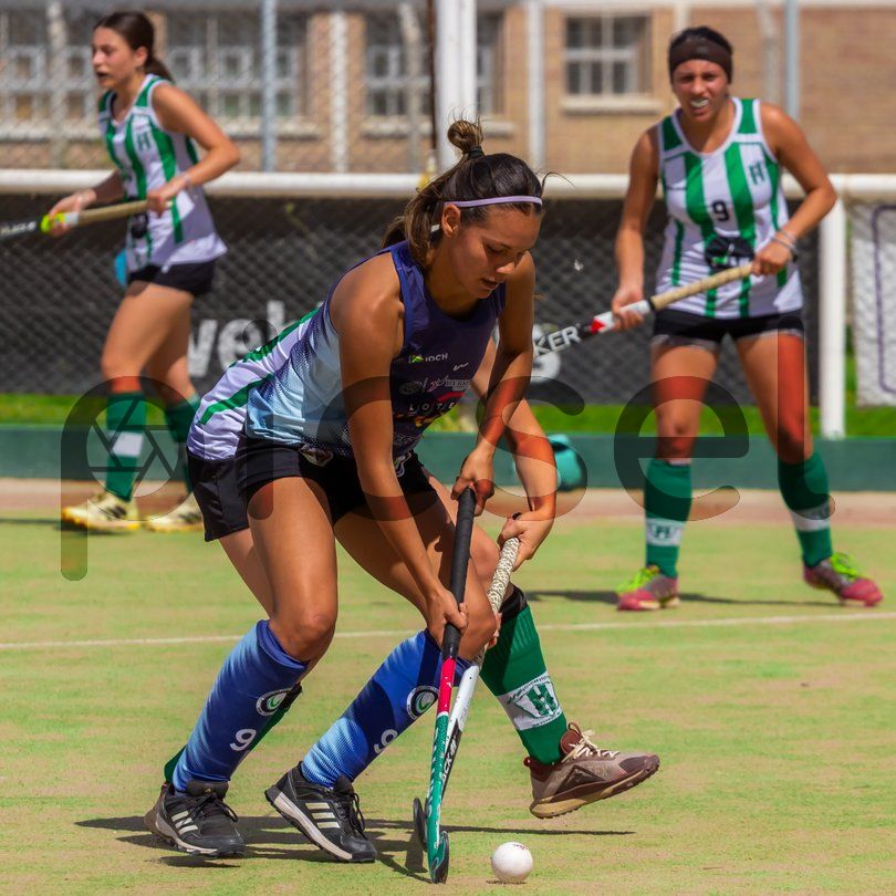 Photo of kp3x1hdn7em5jud3clomzcd6