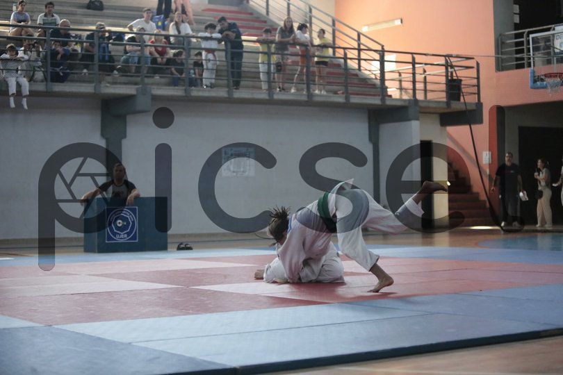 Photo of isme22k9yapk978umxx7qeu1