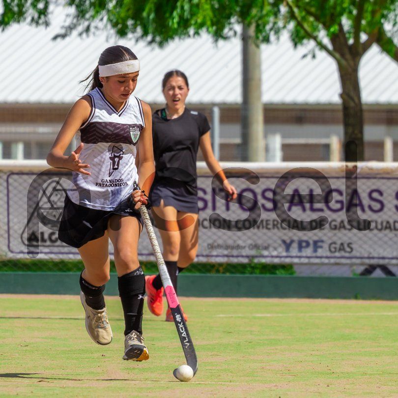 Photo of ra3e0dwjqd9xds63gzxch21u