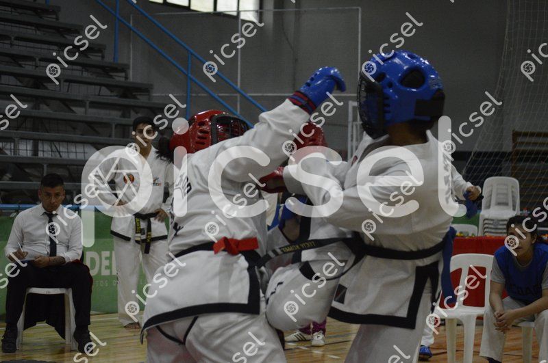 Photo of m8riju29frcxhj9mq2tyvdq8