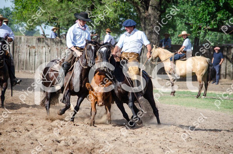 Photo of k4y3txmh6b6hnuvo1dj57w3t