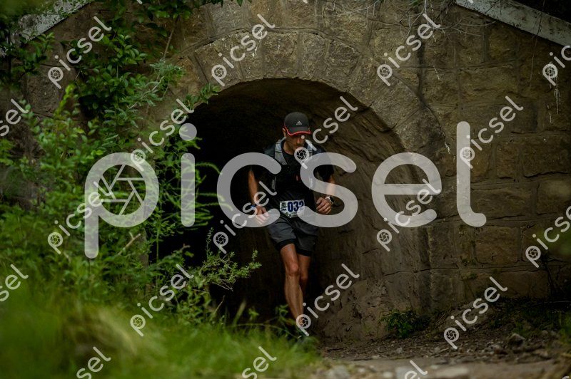 Photo of el3dhmaf929t9oe010nzotlt