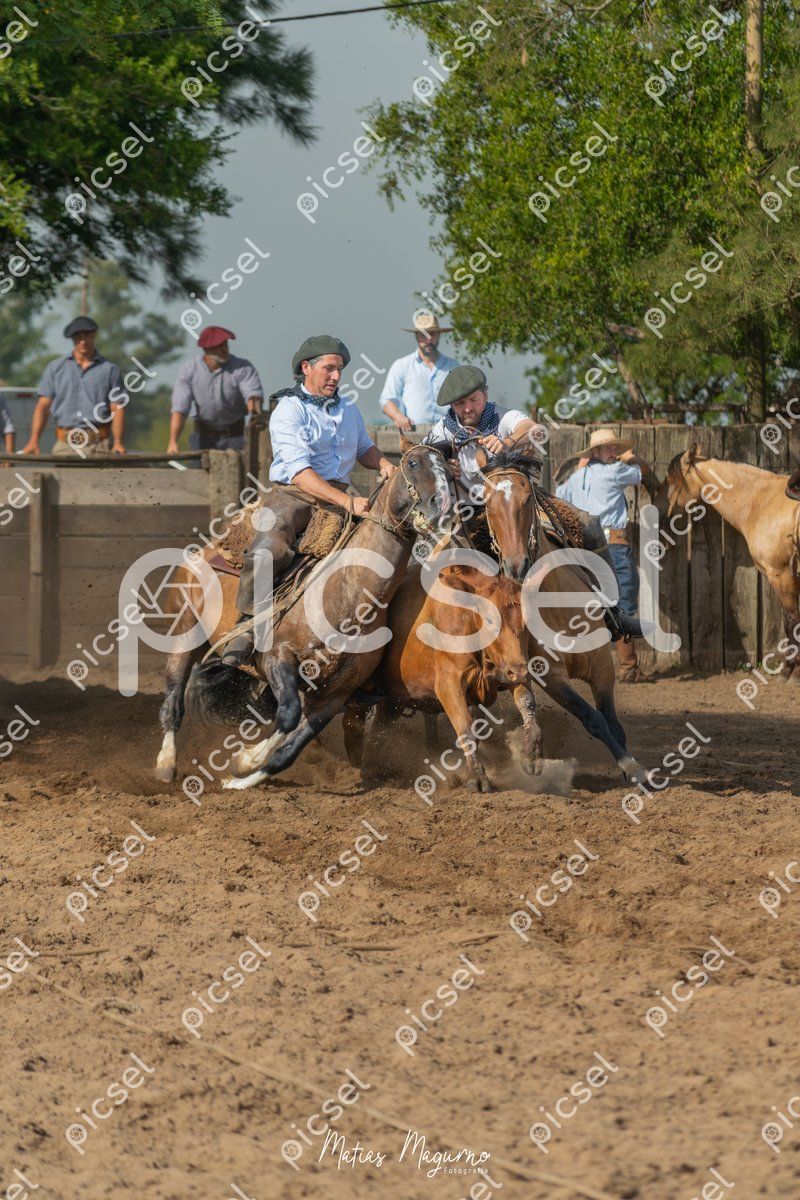 Photo of uhsv7okjeutcd191kmcx2i00