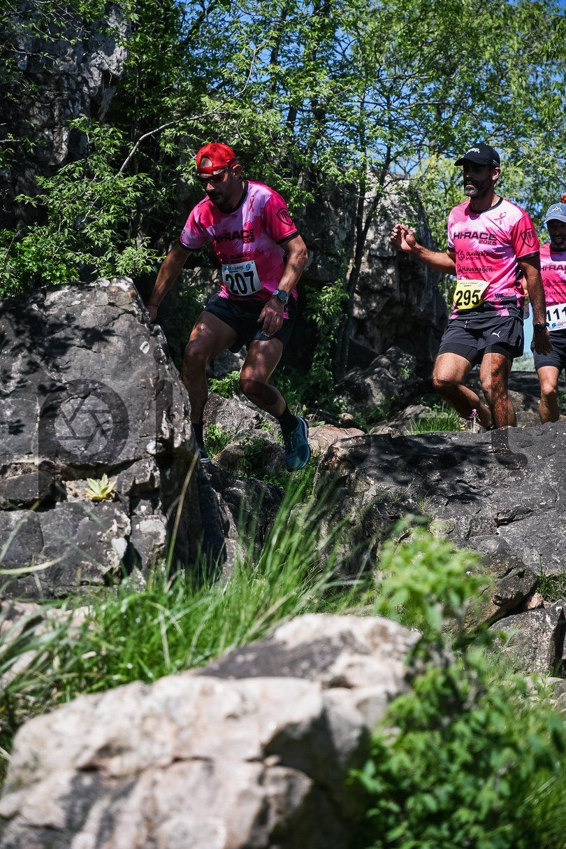 Photo of td4fr7xwoc4j2l71sg1bu524