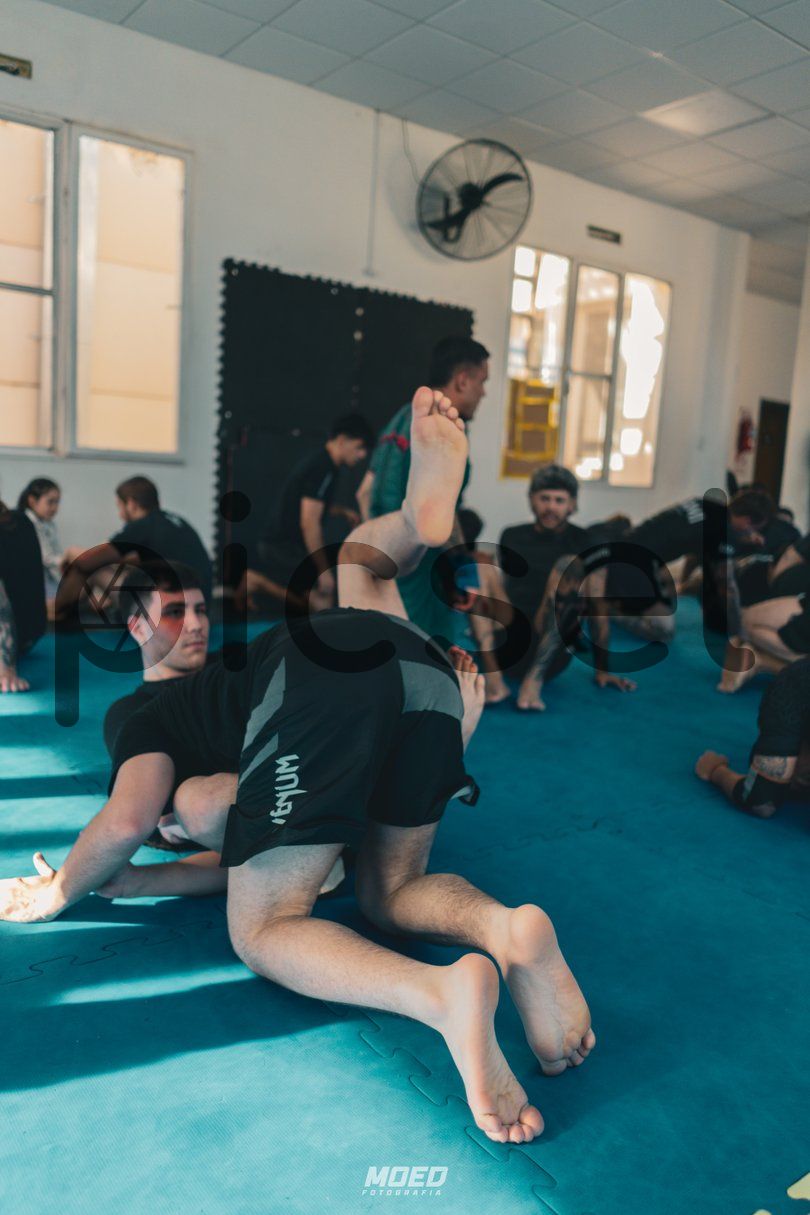 Photo of w7a6jn5qmgx04cj8gs1jbvxc