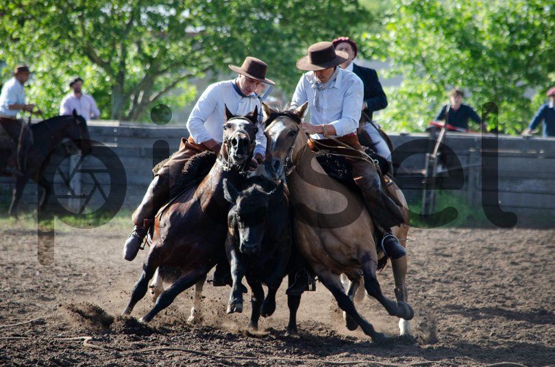 Photo of lt8a3ad3wgidog46xjuf349n