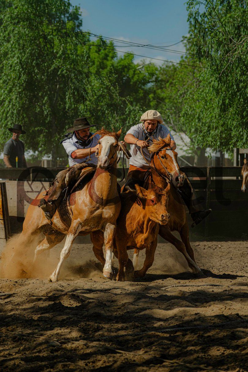 Photo of gos4tpo7hqhjkmvetthhfhtu