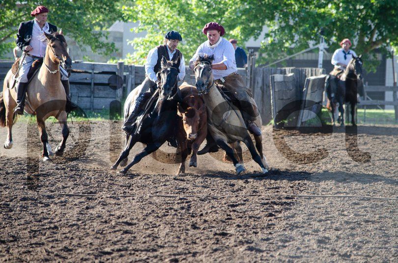 Photo of fegpj0f0o67b6x9tlv4xbyxm